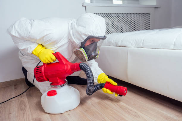 Best Real Estate Pest Inspections  in Wills Point, TX